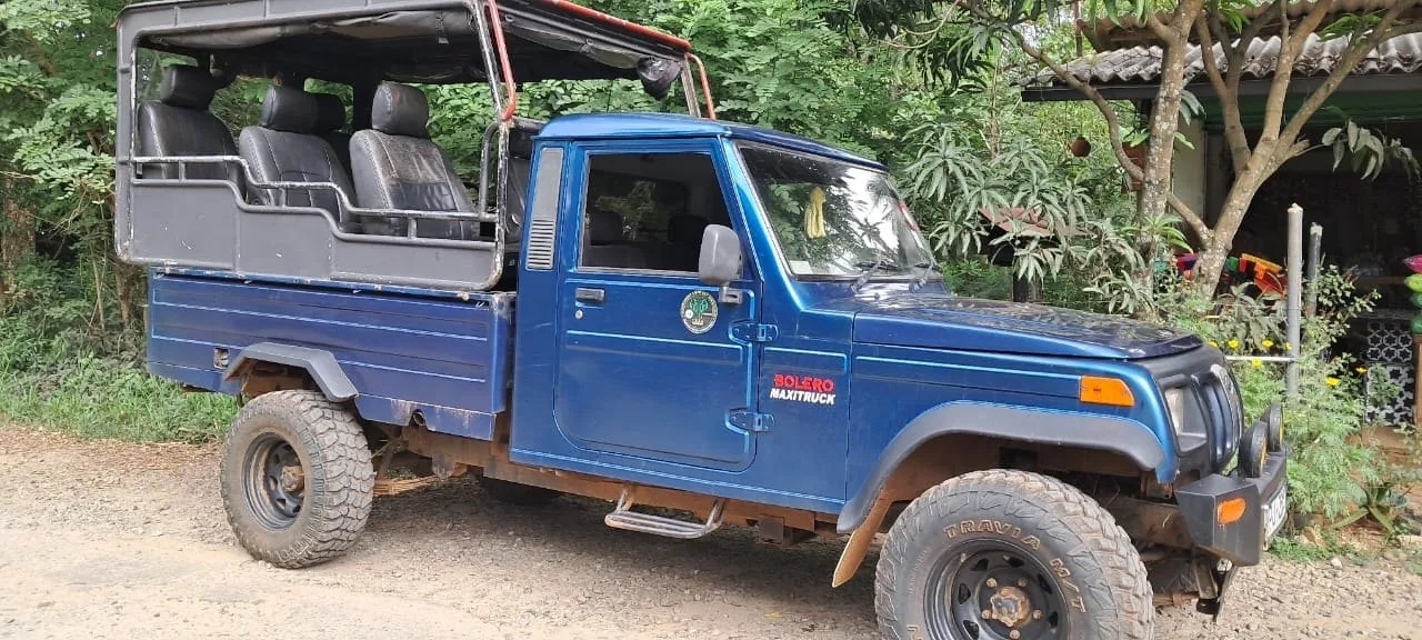 Open safari jeep for Udawalawe National Park tours